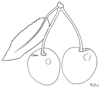 cherry Coloring Pages To Print